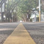 林北说林北是林北的事的个人资料头像