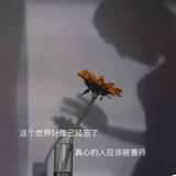 恶魔7335头像