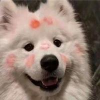 幽默葡萄ddd头像