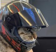 她破风林的个人资料头像