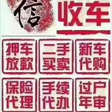 自由的蜻蜓W9头像