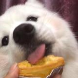 TT.头像