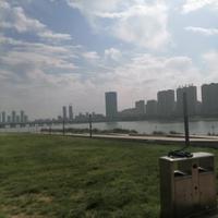 淡泊的面条Rk头像