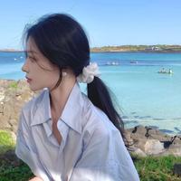 清爽雪梨止咳头像