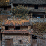 宁波市外卖小哥头像