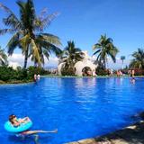 往事随风Pro头像