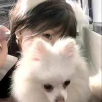 外向帆船ahQ头像