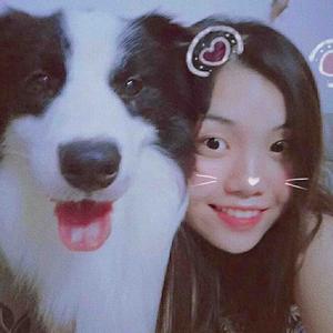 轮子不是很无敌头像