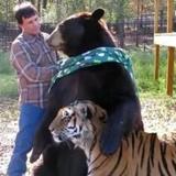 清闲的辰星LWN头像