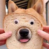 CapLawliet头像