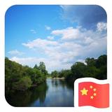 林白987470头像