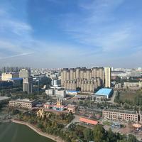 充满元气的福来头像