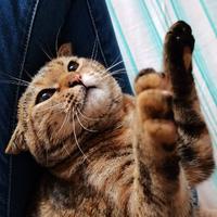 取舍有道665头像