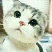 用户1785022907524的个人资料头像