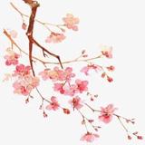 高级阳光OEn头像