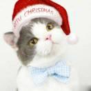 君86678的个人资料头像