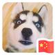 我要买5151头像