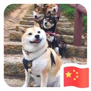 萤火虫320的个人资料头像