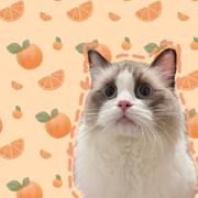 XMJYever325的个人资料头像