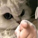 用户8770317276705头像