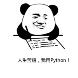 Python入门教学头像
