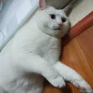 陪杜兰特打到80岁的个人资料头像