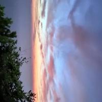 我的旺飞飞头像