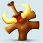 愚人象伢的个人资料头像