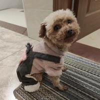 名郑焱顺头像