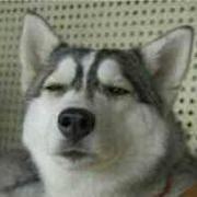 haha370104的个人资料头像