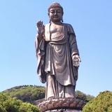勇敢的风雨踏梦行头像