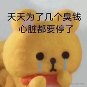 上班没有不疯的的个人资料头像