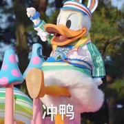 聪明的花鹿子的个人资料头像