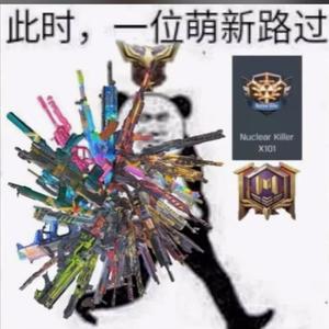 胖胖的艾比头像