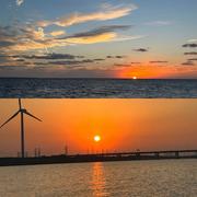 小小羊91的个人资料头像