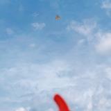 92还在流浪93头像