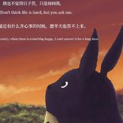 無條件plus的个人资料头像