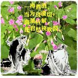 命里有时终须有2612头像