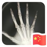 睿骨堂疼痛管理机构头像