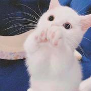 帅与俊的结合的个人资料头像