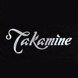 Takamine吉他头像