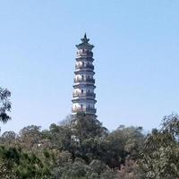 懿风行头像