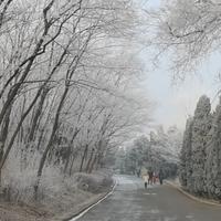 嘉华新干线头像