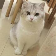 简单点儿好的个人资料头像