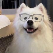 可乐汉堡的个人资料头像
