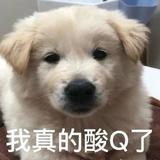 五龙小摩托头像