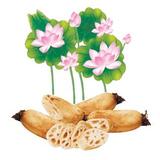 常谦虚头像