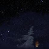 ه٥21头像