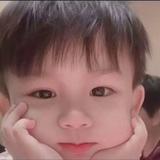 Gfdcgt头像