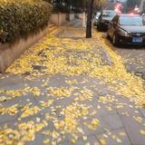 无人岛游戏头像